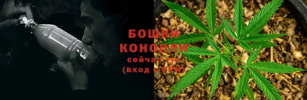 ПСИЛОЦИБИНОВЫЕ ГРИБЫ Вяземский