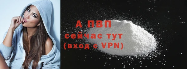 ПСИЛОЦИБИНОВЫЕ ГРИБЫ Вяземский