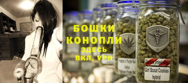 ПСИЛОЦИБИНОВЫЕ ГРИБЫ Вяземский