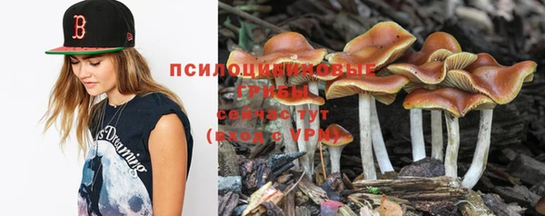 скорость Вязьма