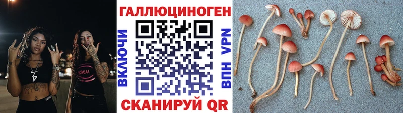 дарк нет как зайти  Новоржев  Псилоцибиновые грибы Psilocybe  МЕГА как зайти 